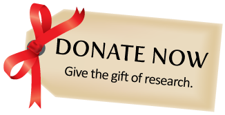 donatenow_holidaytag