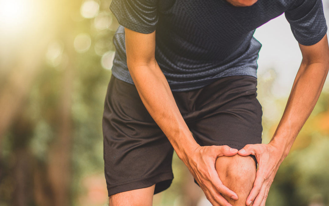 Investigating the Mechanisms of Intramuscular Collagen Accumulation in Individuals with Knee Osteoarthritis