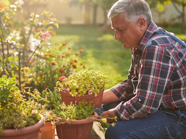 Gardening-With-Arthritis