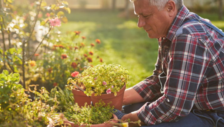 Gardening-With-Arthritis
